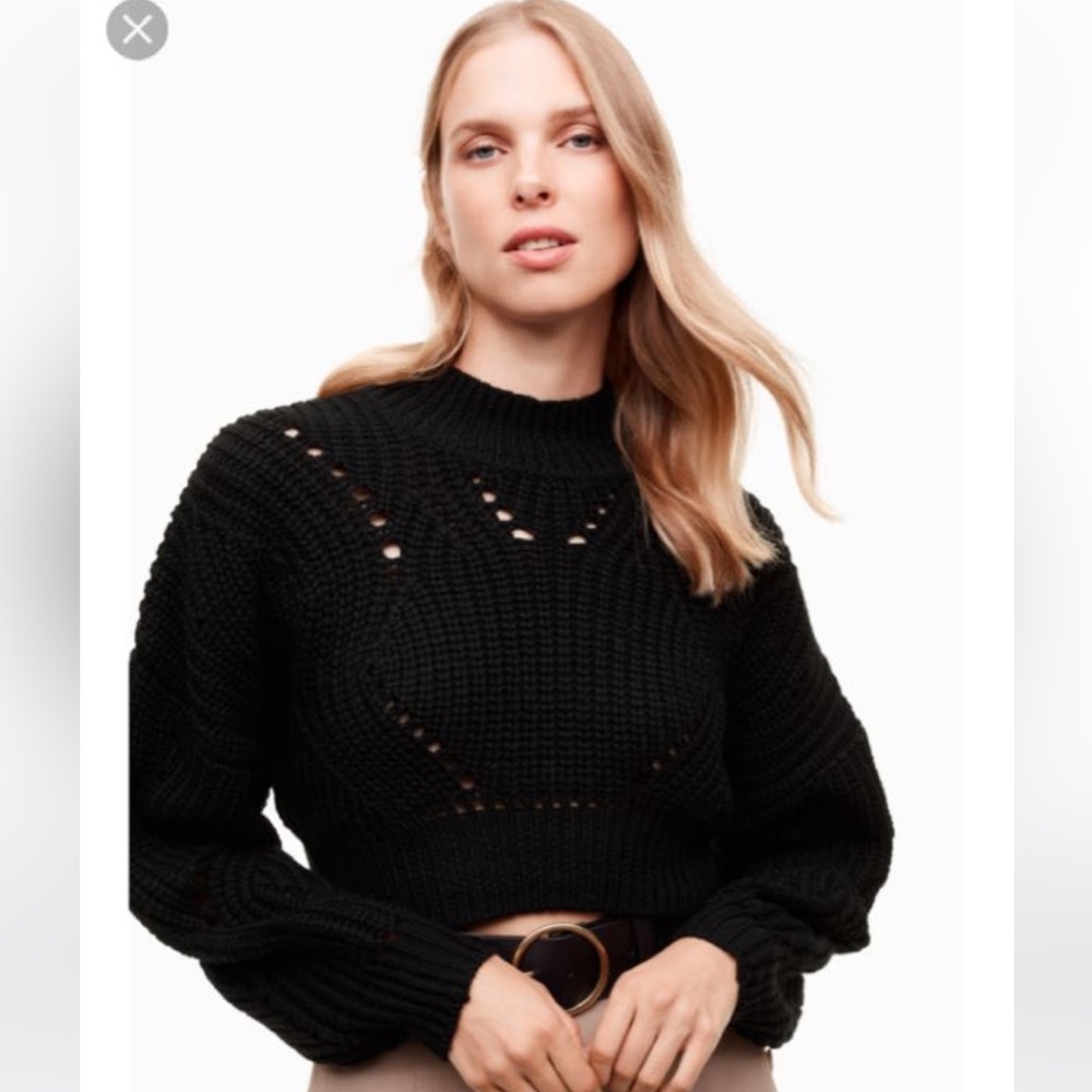 Wilfred by Aritzia Goulaine sweater.